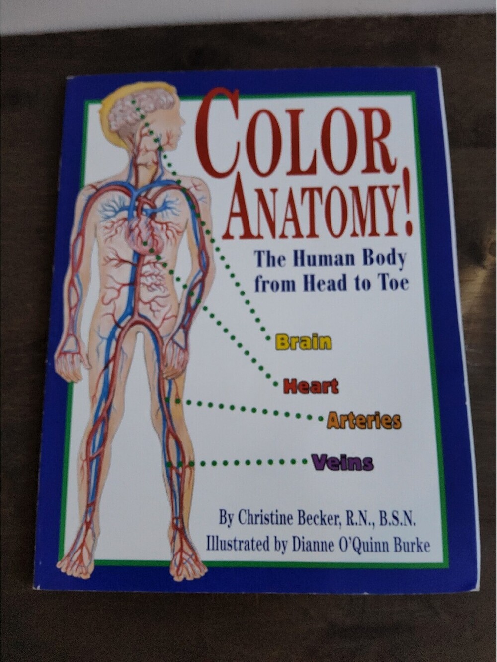 Color Anatomy Human Body Head to Toe Christine Becker 1997 Kids Science Workbook